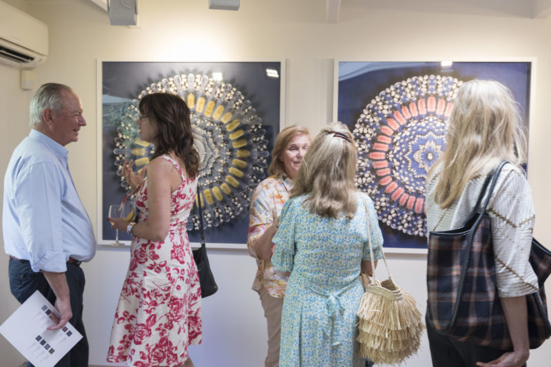 'Seed the change' opening