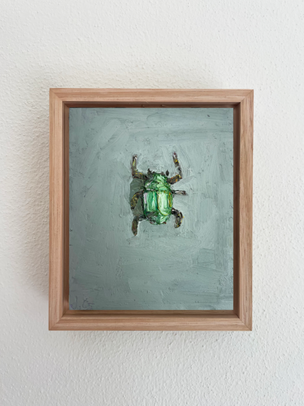IMG 8006 - Christmas Beetle - Jane Guthleben .M Contemporary