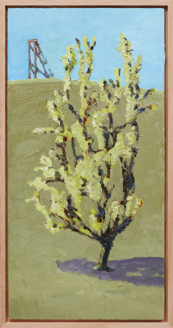 Yellow Flowering Shrub at Lithgow 2023 oil on marine ply 40cm x 20cm - Yellow Flowering Shrub at Lithgow - Jane Guthleben .M Contemporary